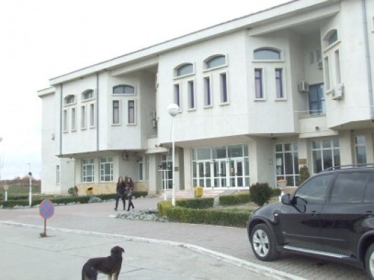 Proiect finanţat cu fonduri europene, la Facultatea de Psihologie şi Ştiinţele educaţiei de la Ovidius